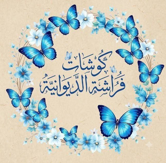 كوشات فراشة الديوانية